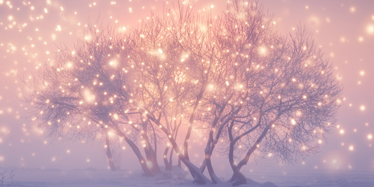 La Magie de Noël Texte