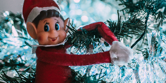 Idée Bêtise Lutin de Noël