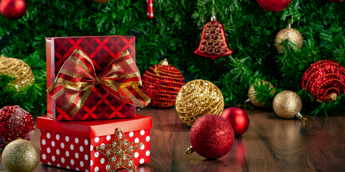 Quoi Offrir À Son Frère Pour Noël