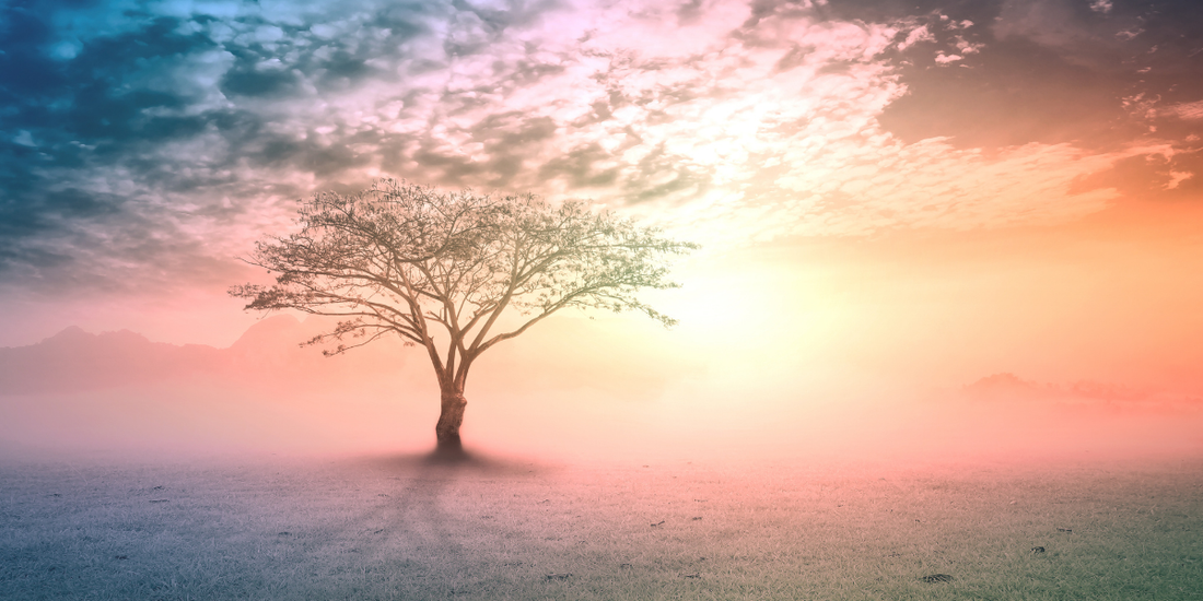 Bijoux Arbre de la Vie Personnalisés