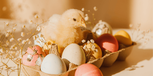Dessin Poussin de Pâques : 15 Textes pour une Classe d'Enfants